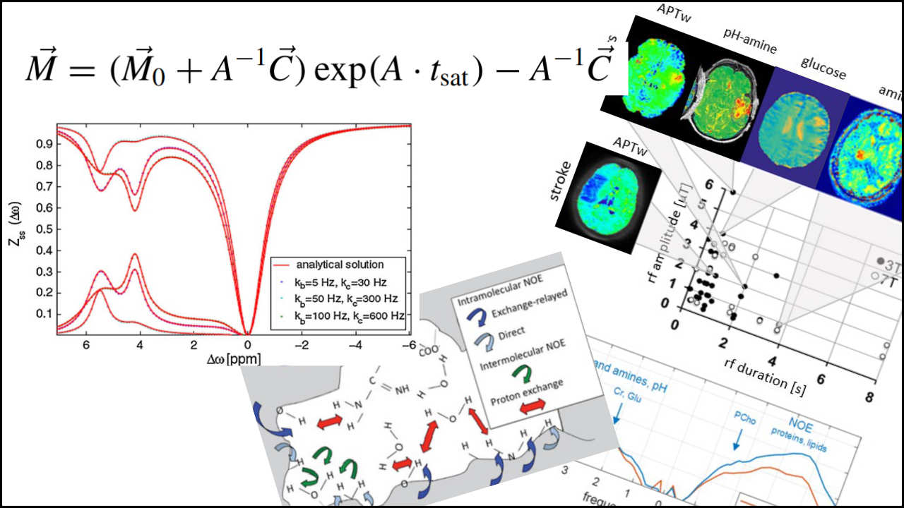 Zur Seite: zMRI Lab (Zaiss)