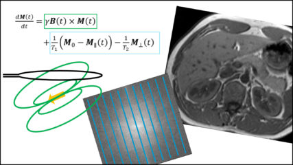 To the page:Course „Magnetic resonance imaging 1“