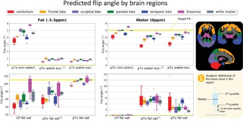 Zum Artikel "Neues Papier: Clinically compatible subject-specific dynamic parallel transmit pulse design for homogeneous fat saturation and water-excitation at 7T: Proof-of-concept for CEST MRI of the brain"