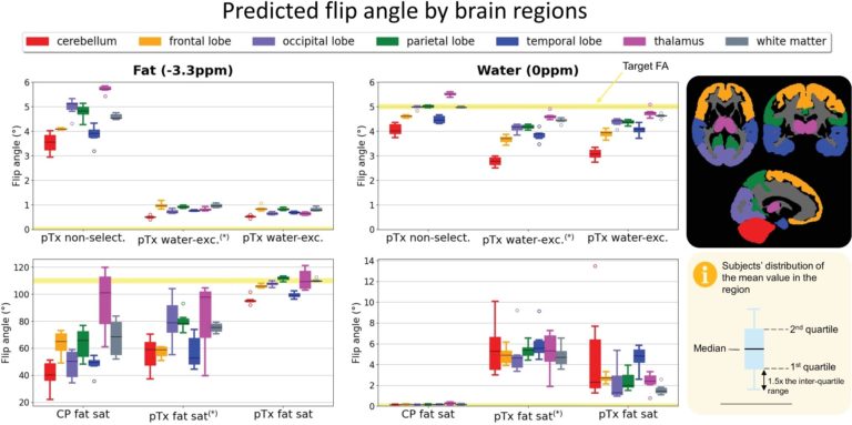 New paper: Clinically compatible subject-specific dynamic parallel transmit pulse design for homogeneous fat saturation and water-excitation at 7T: Proof-of-concept for CEST MRI of the brain