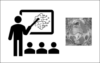 To the page:Seminar „Machine Learning in MRI“