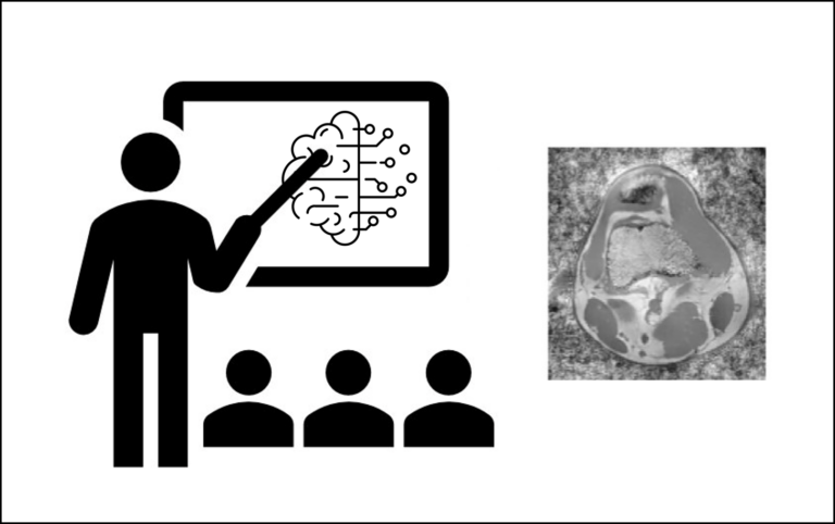 Featured image for Seminar „Machine Learning in MRI“