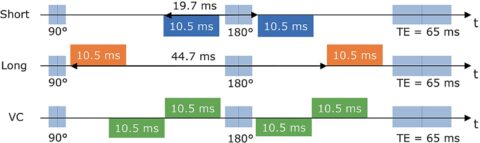 Zum Artikel "Neues Paper: Velocity-compensated intravoxel incoherent motion of the human calf muscle"