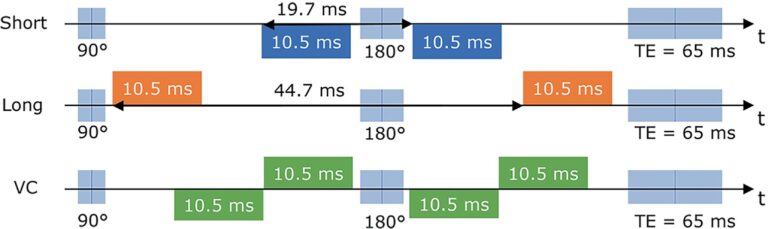 New Paper: Velocity-compensated intravoxel incoherent motion of the human calf muscle