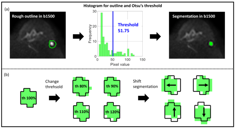 New paper: Stability of Radiomic Features against Variations in Lesion Segmentations Computed on Apparent Diffusion Coefficient Maps of Breast Lesions