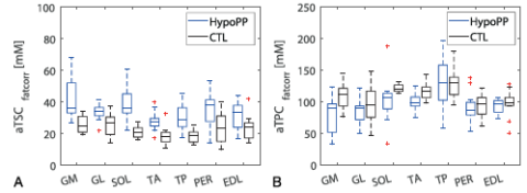 Zum Artikel "New paper: Feasibility of 7T 39K/23Na Magnetic Resonance Imaging for assessing muscular ion balance in hypokalemic periodic paralysis"